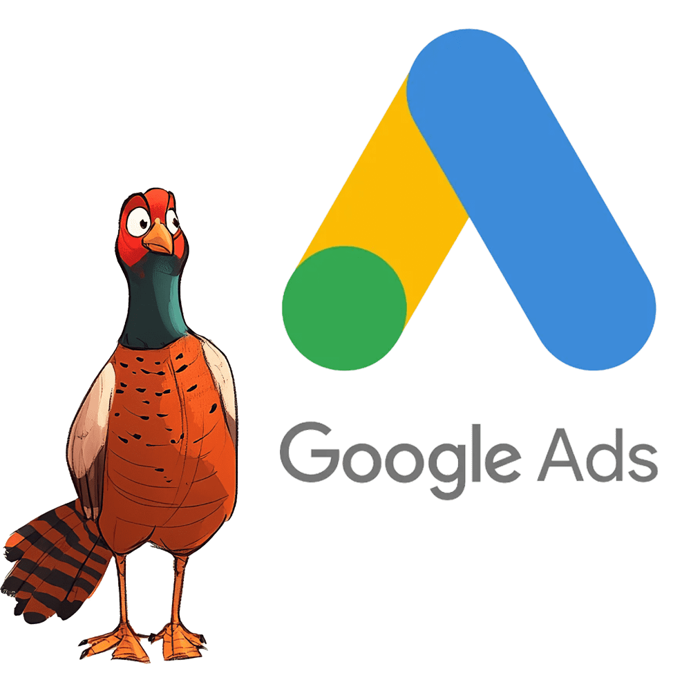 Google Ads landing page and PPC campaign support in Dorset